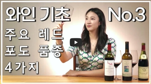 가성비 갑! G7 까베르네 소비뇽 2022 테이스팅 노트